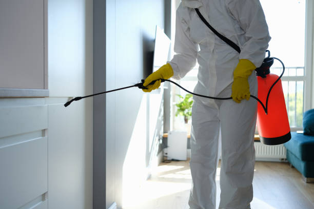Best Mold Removal Company Near Me  in Folly Beach, SC