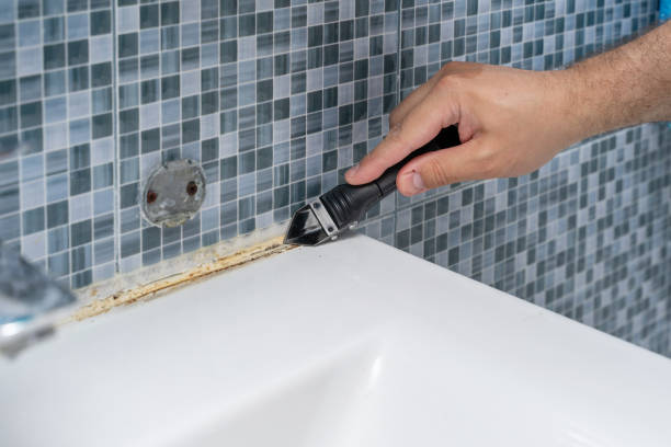 Best Mold Remediation  in Folly Beach, SC