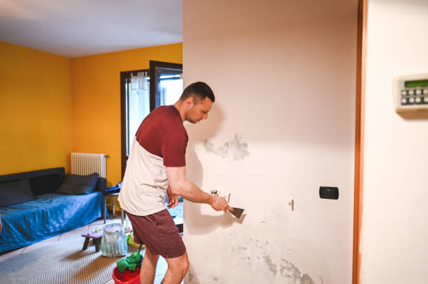  Folly Beach, SC Mold Removal Pros